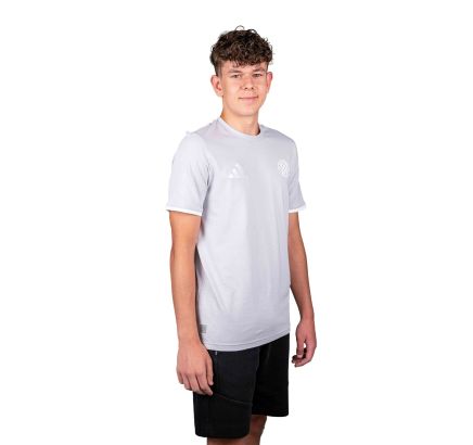 adidas T-shirt, Hajduk ENT26 TEE, grey