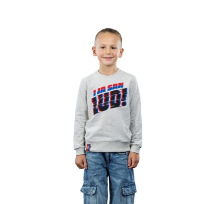 Hajduk kids sweatshirt "I ja san lud!", grey