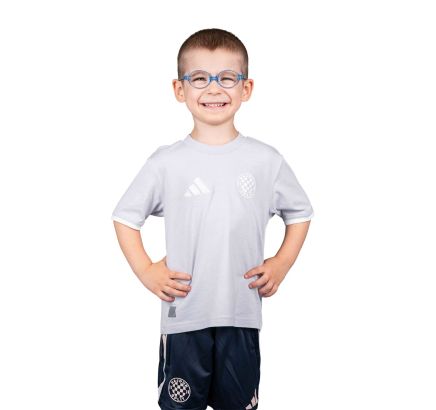 adidas dječja majica kratki rukav, Hajduk ENT26 TEE Y, siva