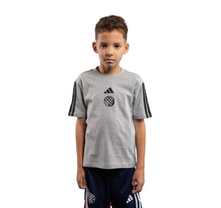 adidas kids T-shirt, Hajduk J 3S TEE 160, grey
