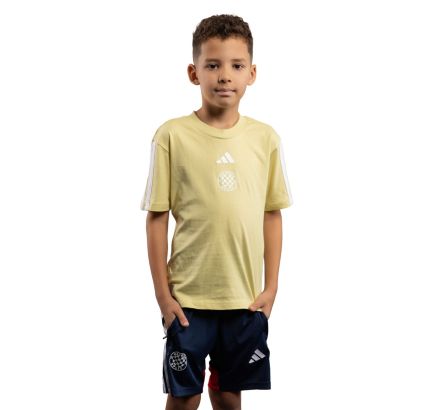 adidas kids T-shirt, Hajduk J 3S TEE 160, yellow