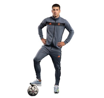 adidas tracksuit F.Z., Hajduk TIRO ES TS, grey