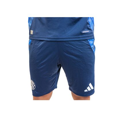 adidas training shorts, Hajduk TIRO24 C TR SHO, tenabl