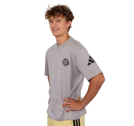 adidas T-shirt, Hajduk M SJ T, gray
