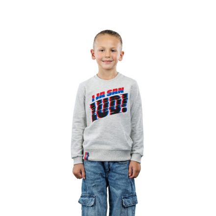 Hajduk dječja majica dugi rukav "I ja san lud!", siva